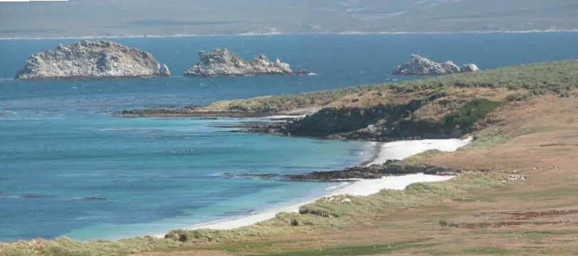 Las Islas Malvinas son hermosas!!!! Las Islas Malvinas son hermosas!!!!