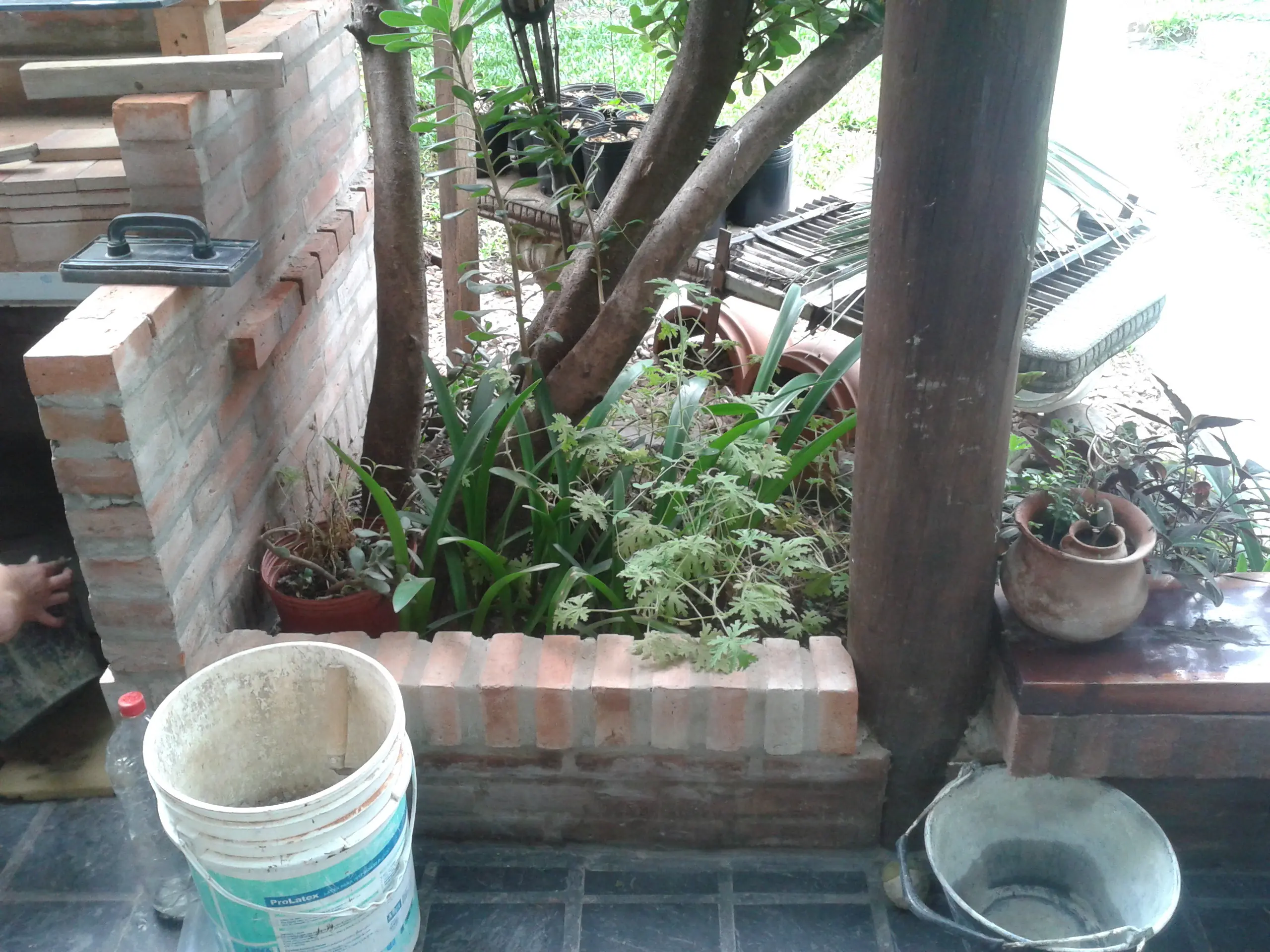 jardin
