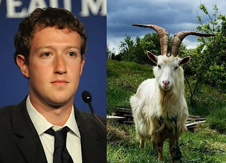 15 Datos curiosos que no sabías sobre Mark Zuckerberg