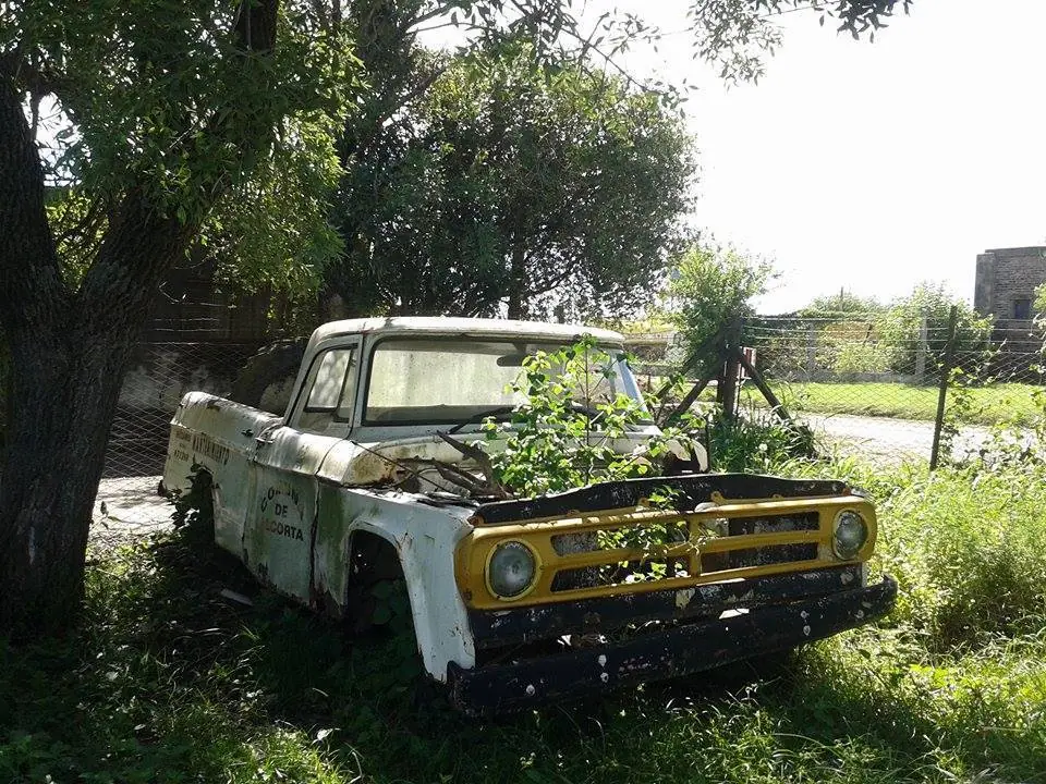 Autos clásicos abandonados en Argentina.