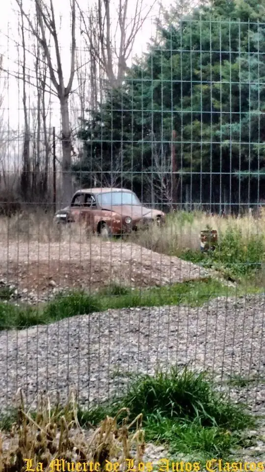 abandonados
