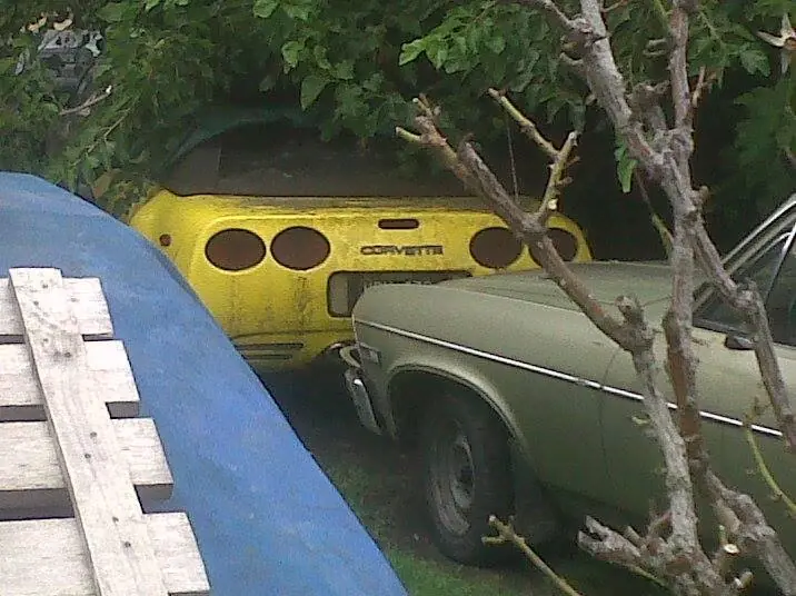clasicos