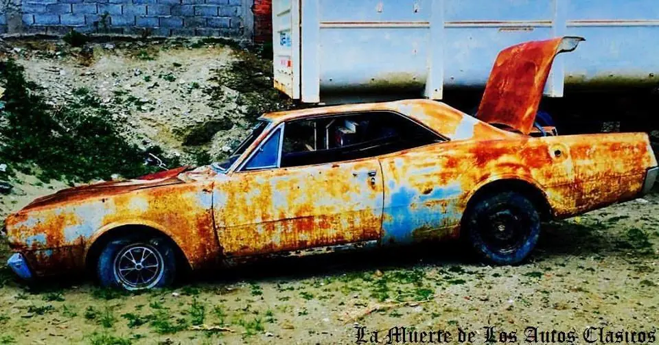abandonados