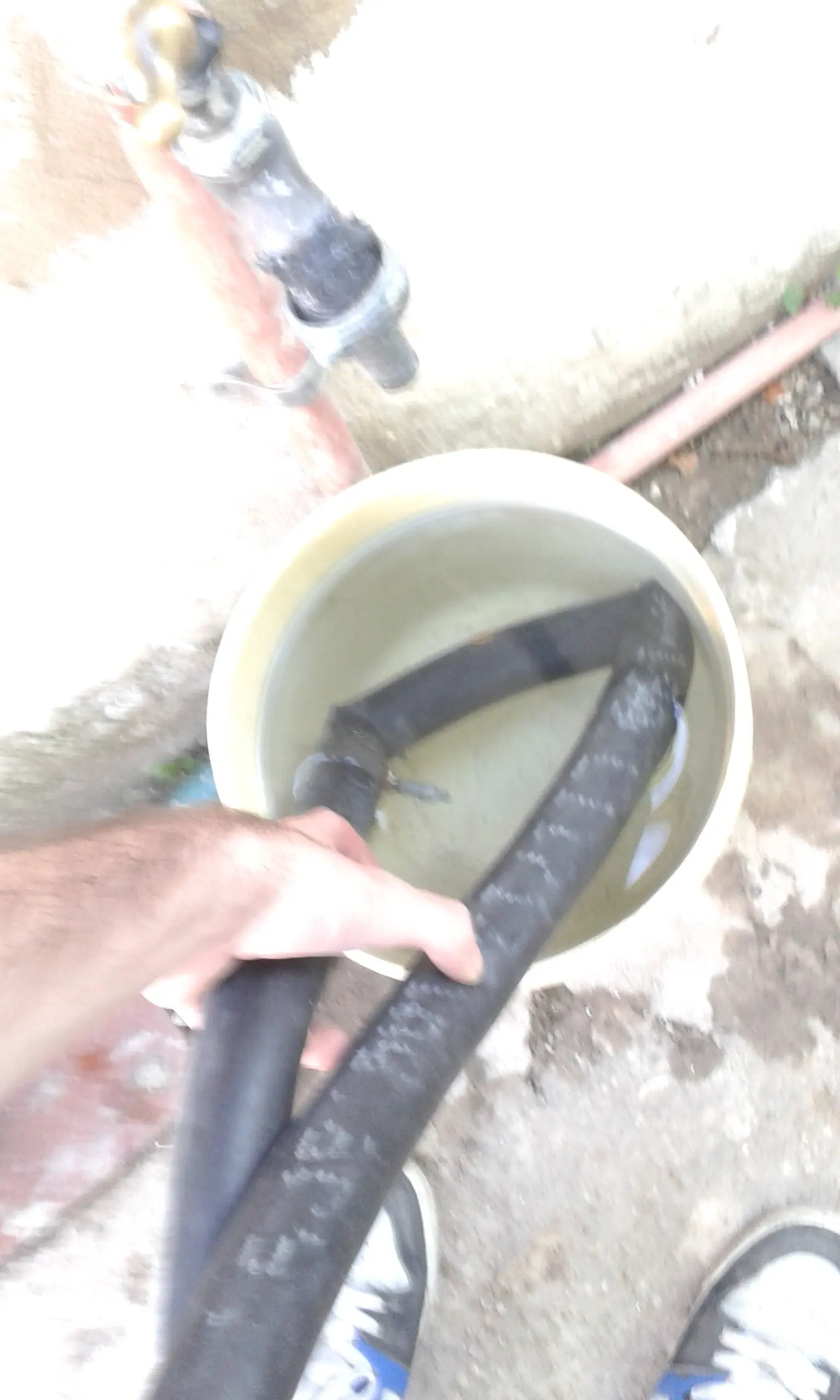 rata