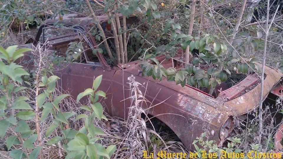 Autos clásicos abandonados en Argentina.