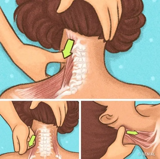 guia