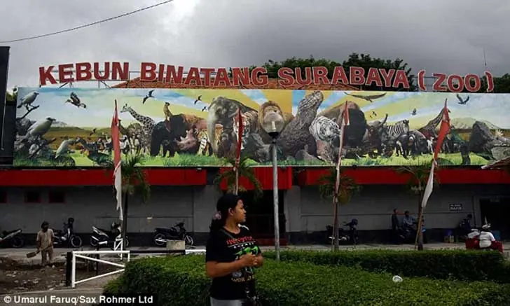 Lo llaman el Zoologico de la muerte