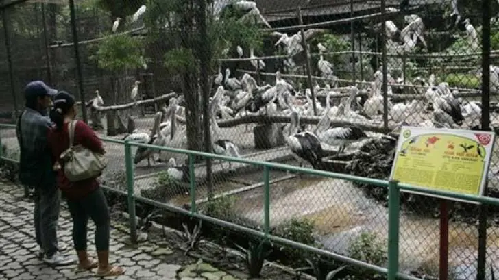 Lo llaman el Zoologico de la muerte Lo llaman el Zoologico de la muerte