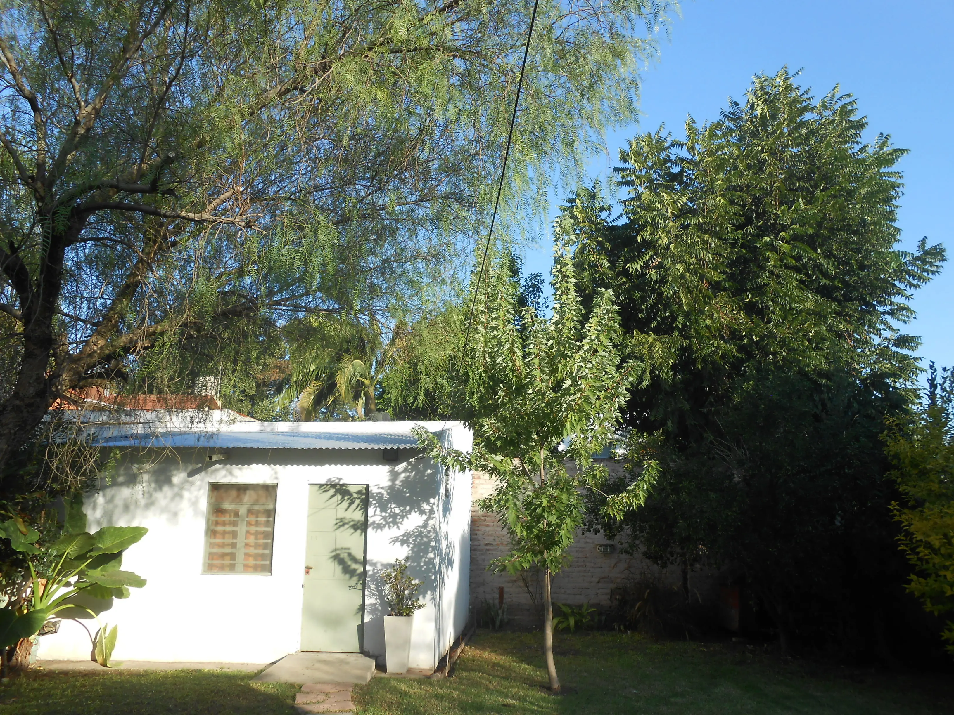 jardin