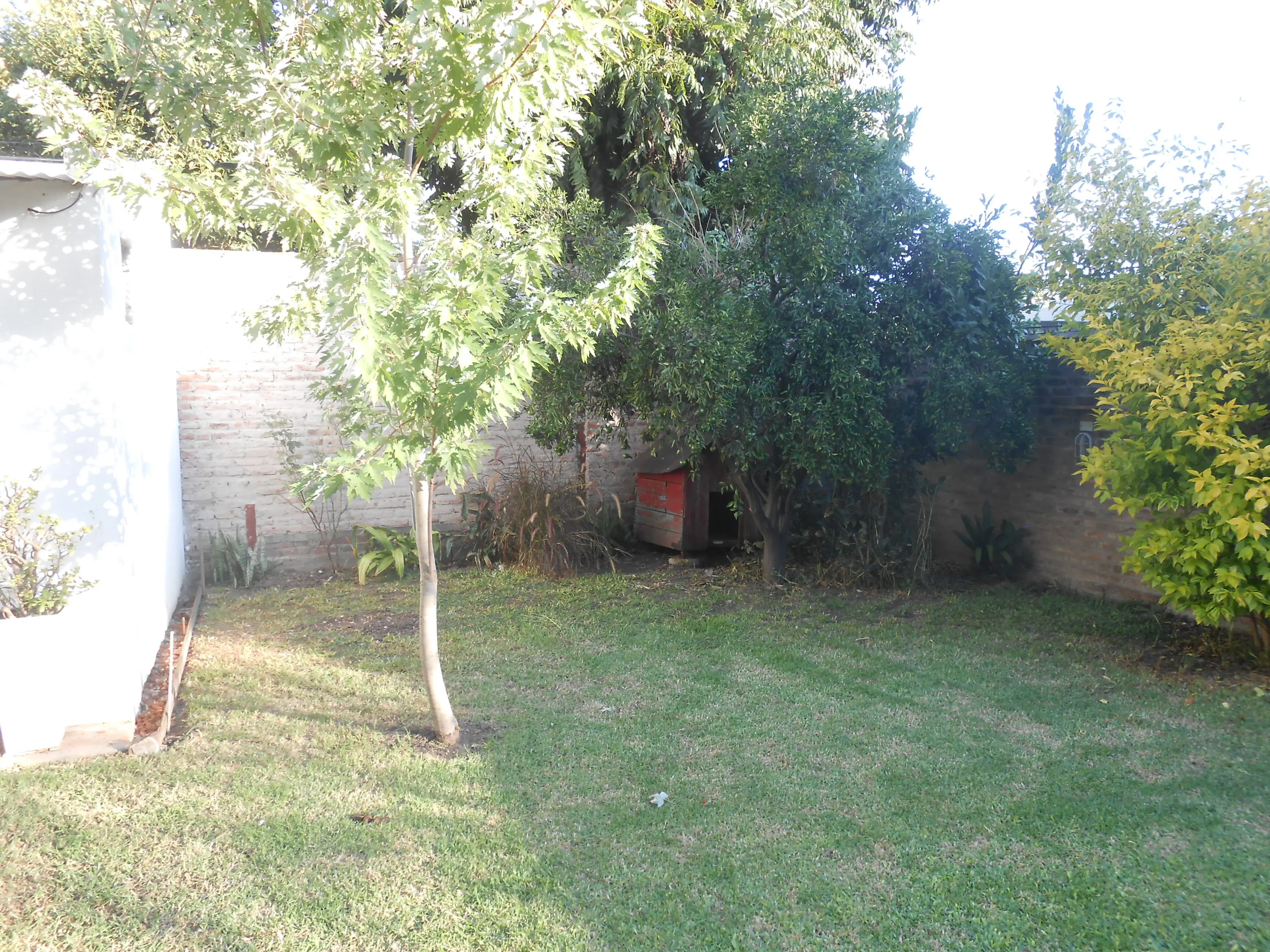 cesper
