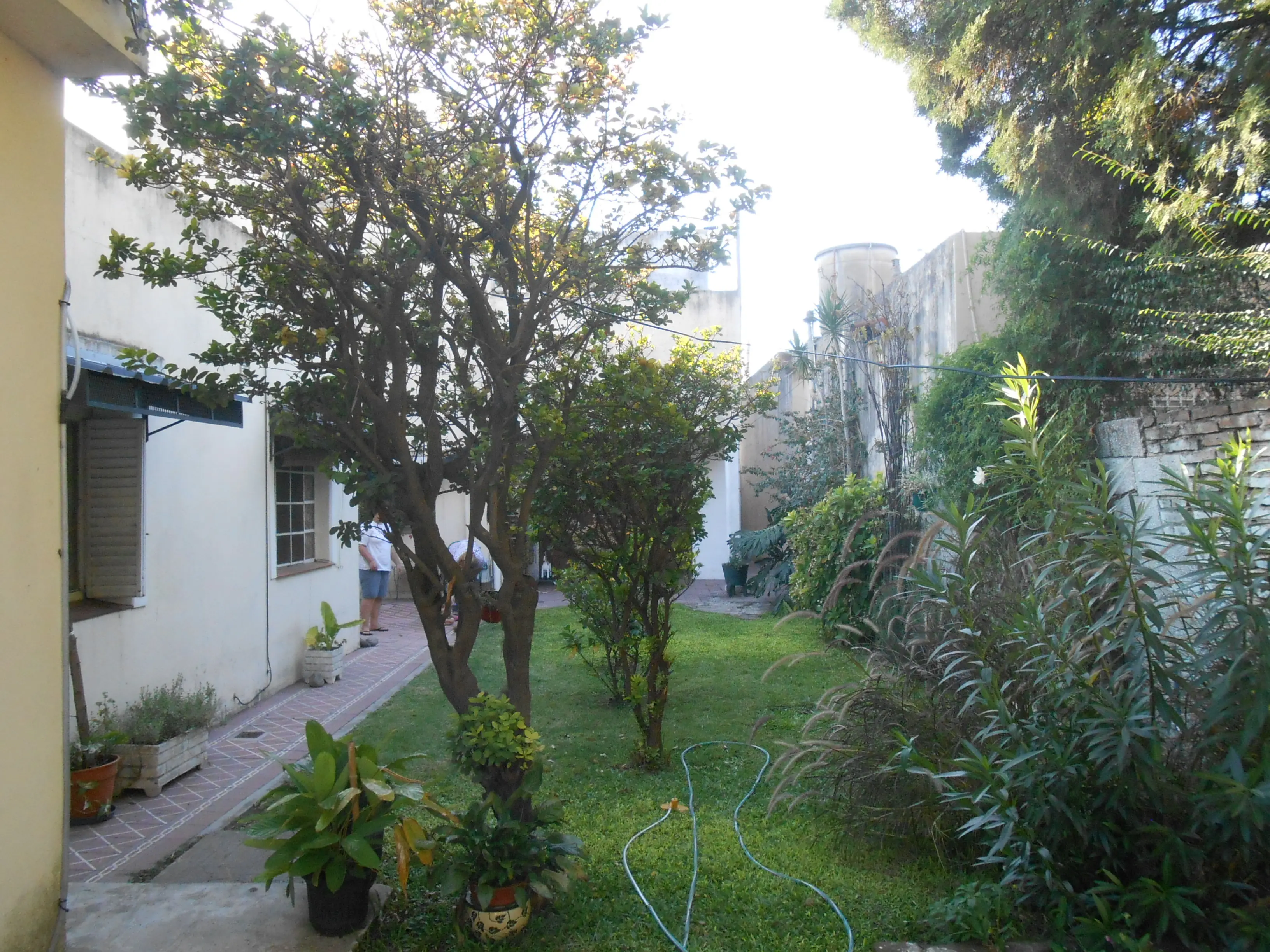 jardin jardin