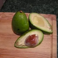 Alimentos prohibidos para el gato.
