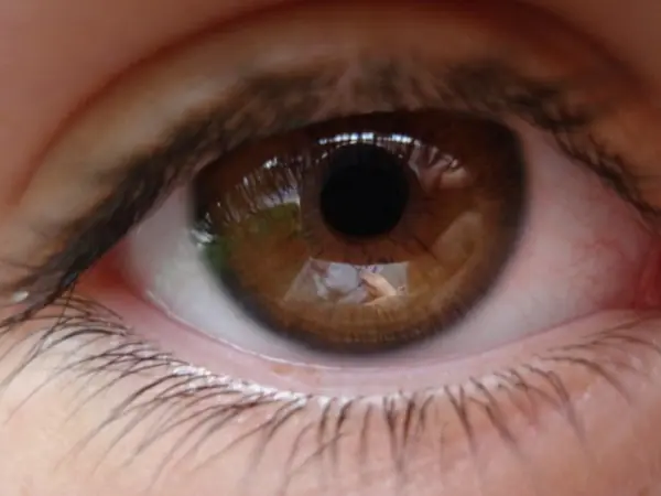 Secretos sobre las personas con ojos marrones