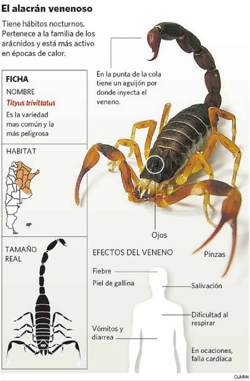 especies especies