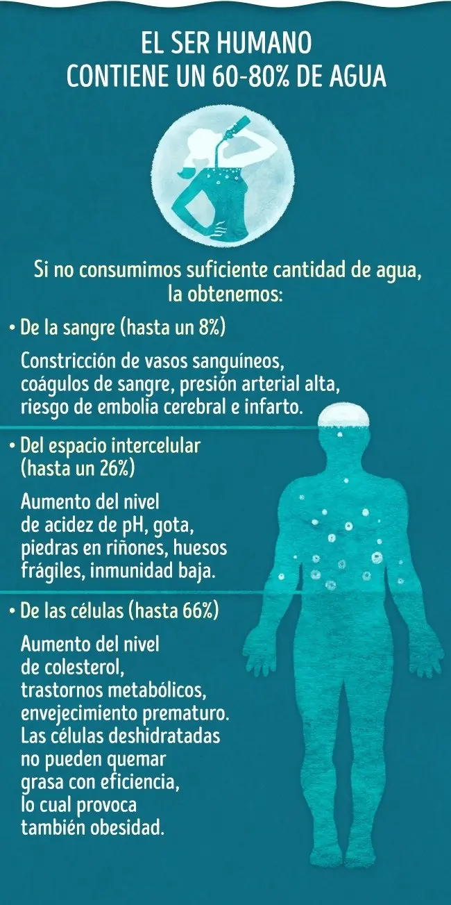 organismo