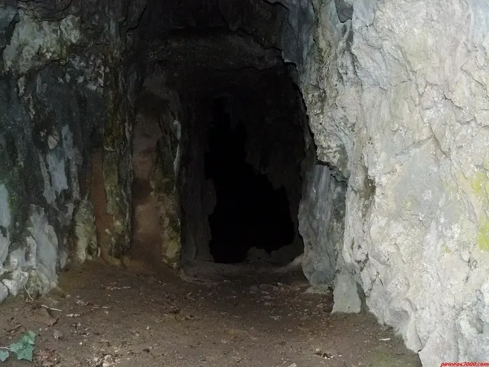 Cuentos cortos de terror Cuentos cortos de terror
