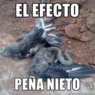 gordo ninja