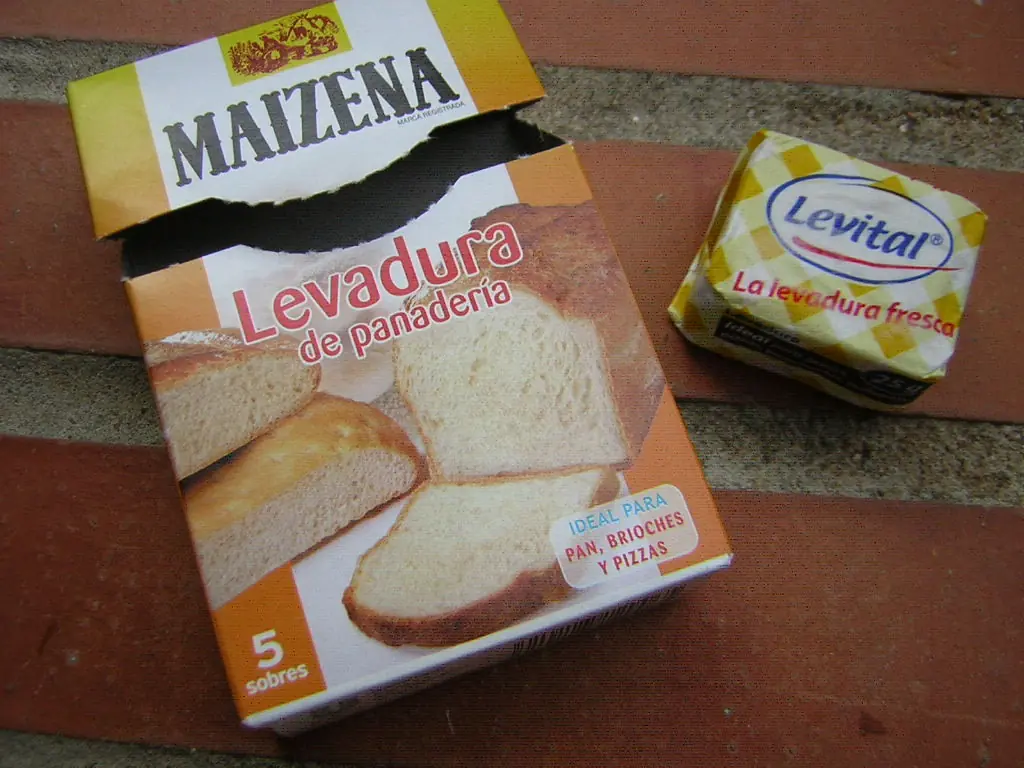 Hace tu desayuno: Como hacer galletitas de agua