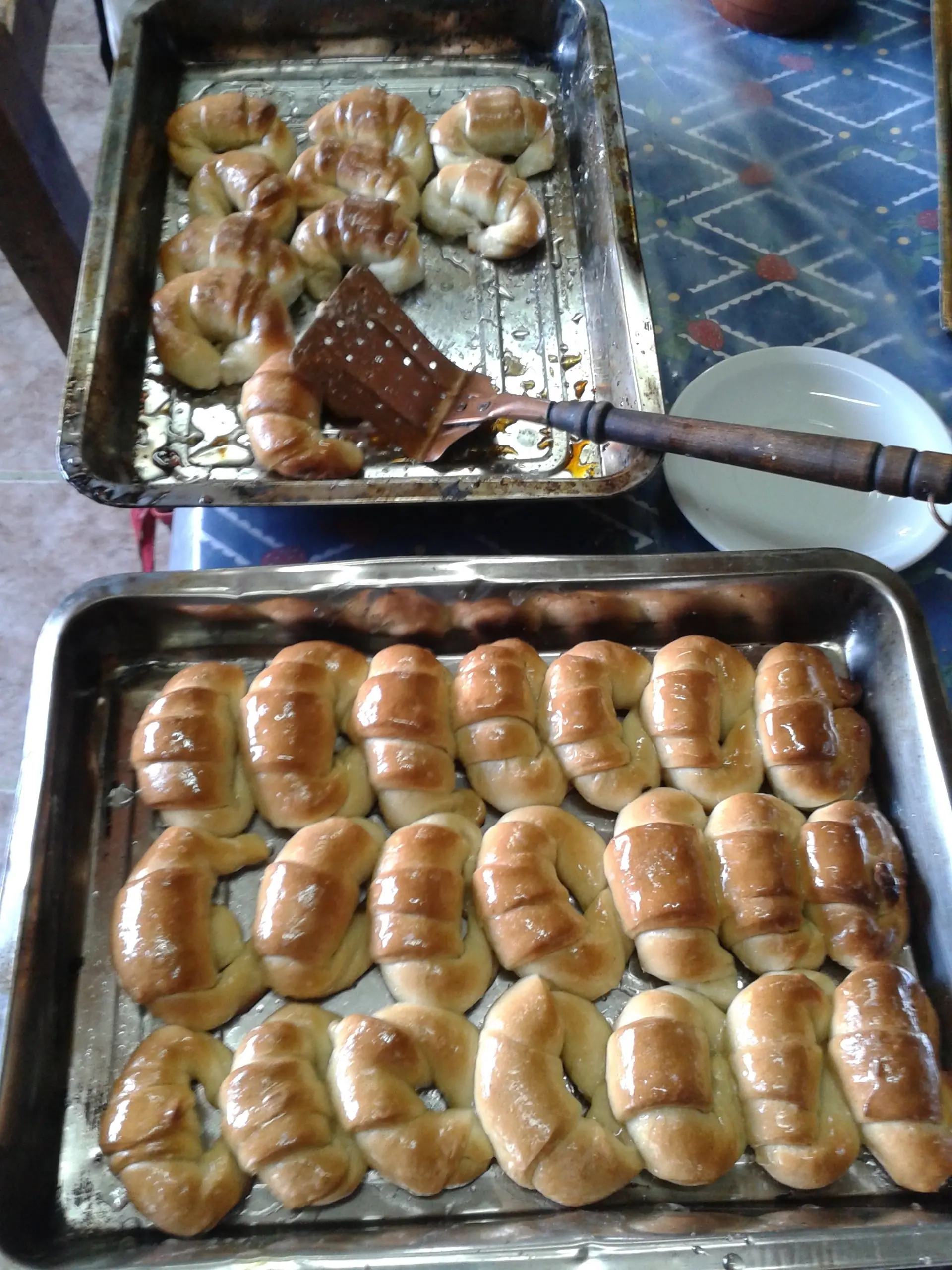cocina cocina