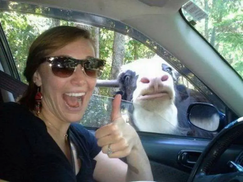 humor