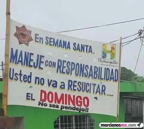 despertar