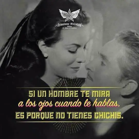 Mañana con humor y linduras para despertar con animos