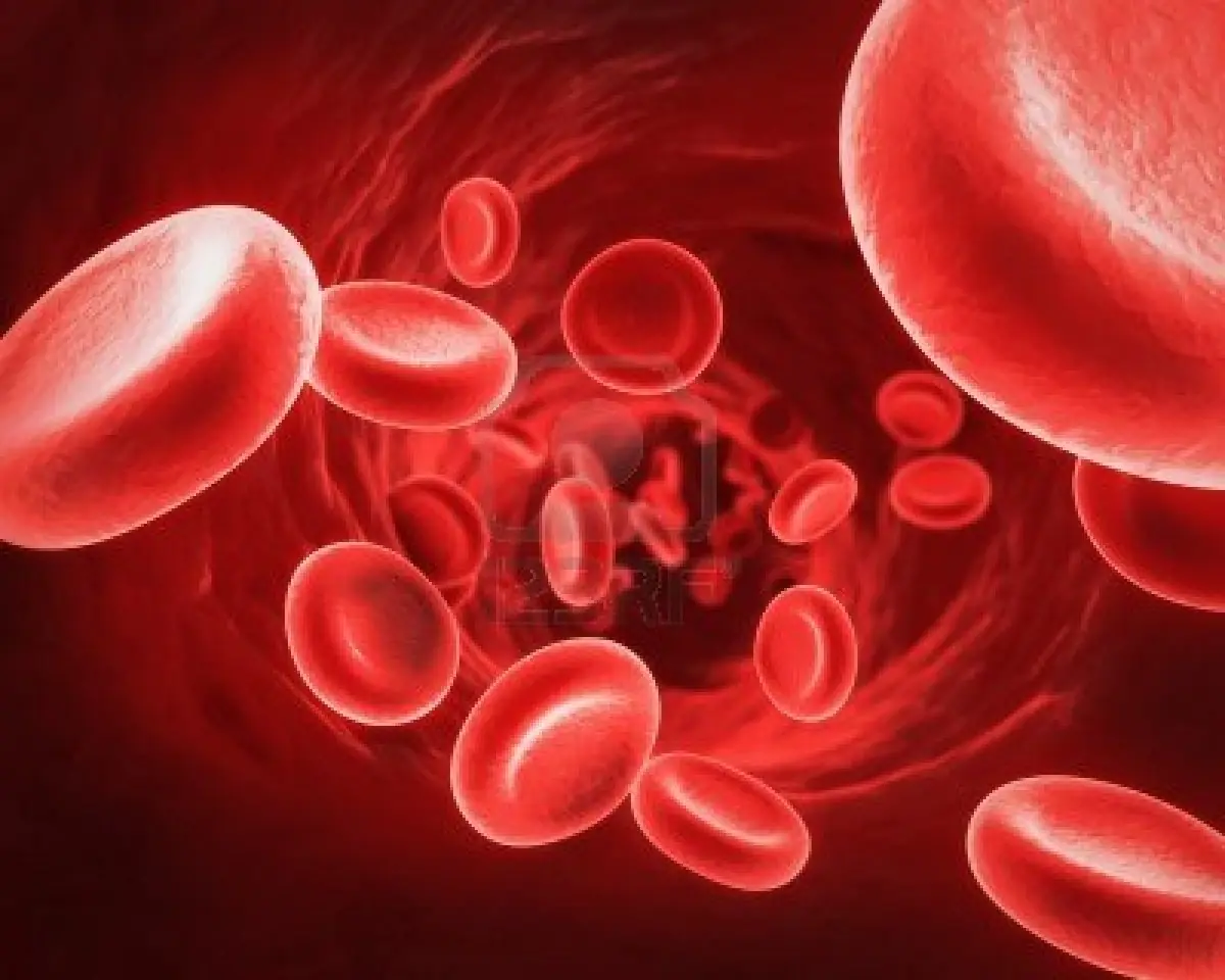 Hemoglobina