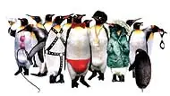 Todo sobre los pinguinos