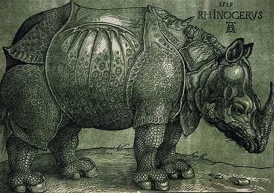 Los Rinocerontes que Trajeron a Europa en 1515 Los Rinocerontes que Trajeron a Europa en 1515