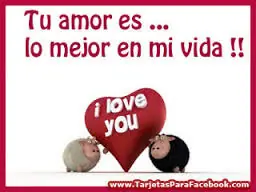 frases frases