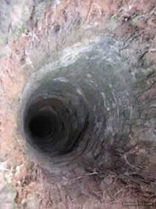 imagenes perturbadoras