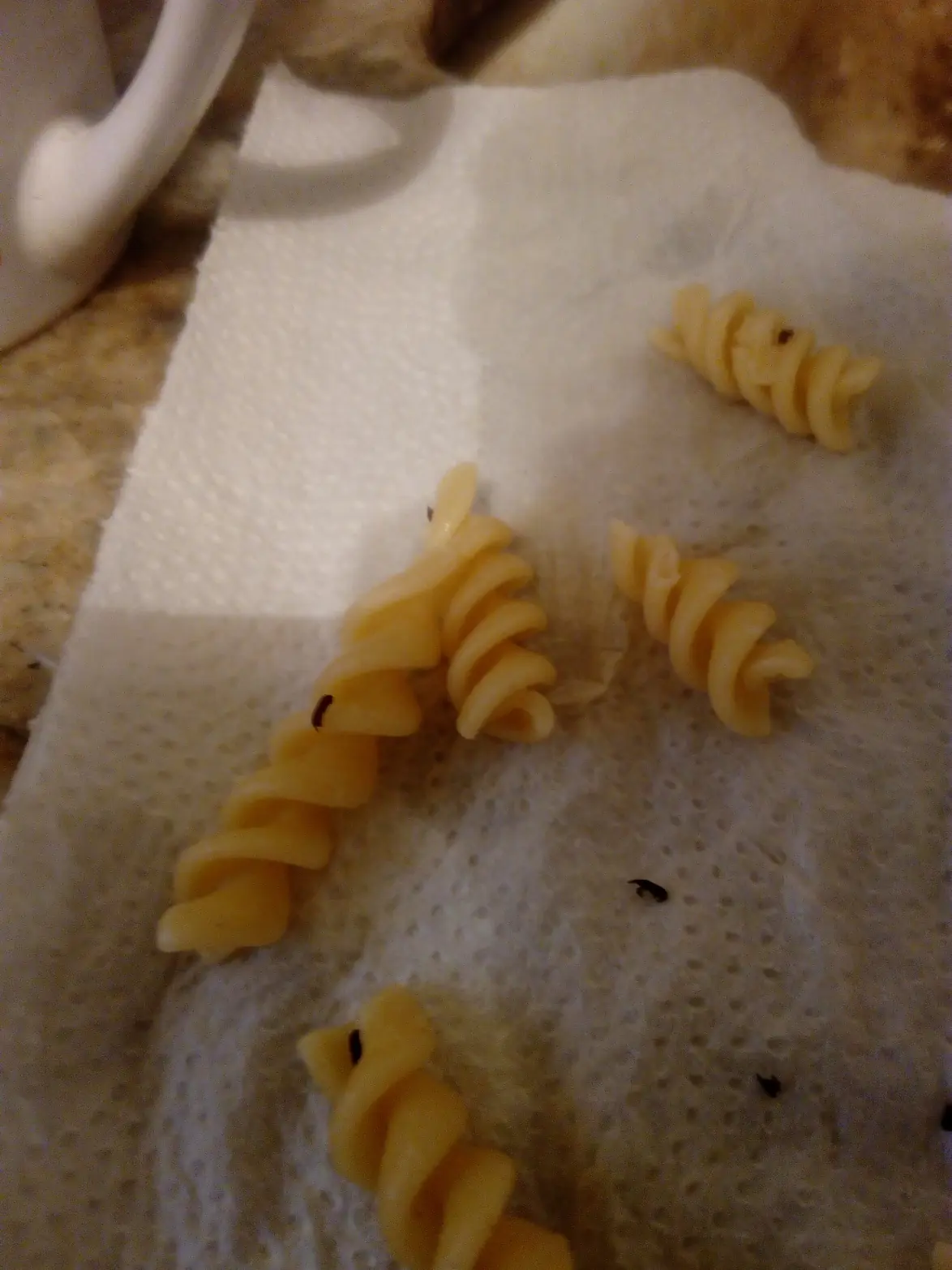 Abrí un paquete de Luchetti, No vas a creer lo que encontre Abrí un paquete de Luchetti, No vas a creer lo que encontre