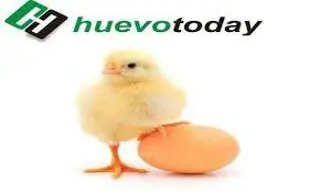 ¿El precio del huevo ha bajado los ultimos 5 años? (Vnzla)