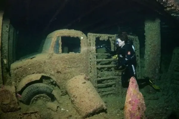 bajo el mar