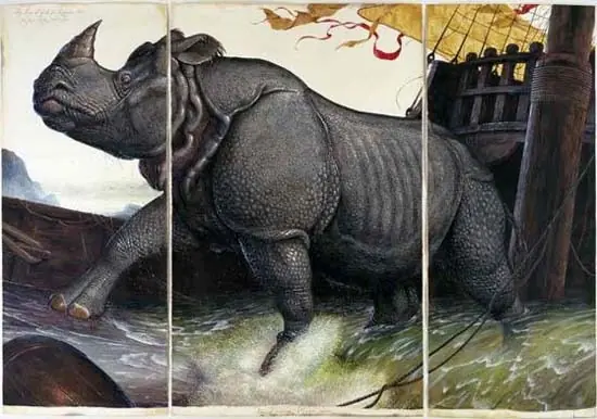 Los Rinocerontes que Trajeron a Europa en 1515 Los Rinocerontes que Trajeron a Europa en 1515