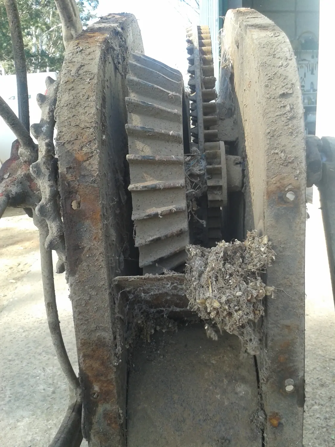 restauracion