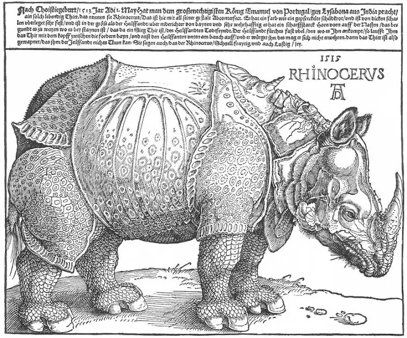Rinoceronte Rinoceronte