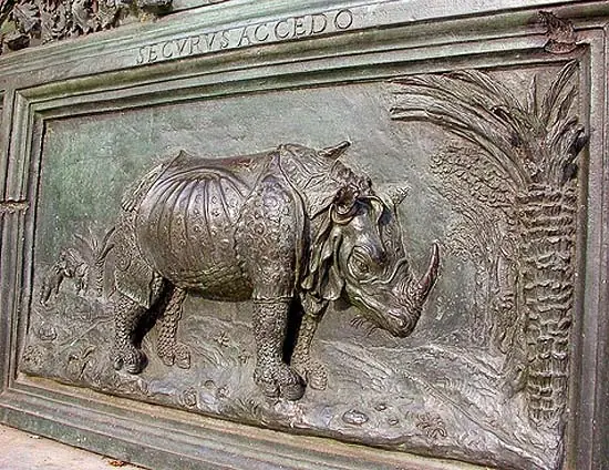 rhinocerus rhinocerus