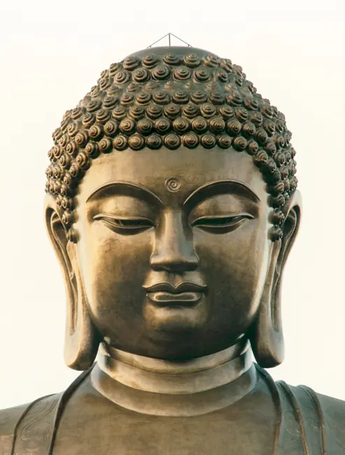 buda buda