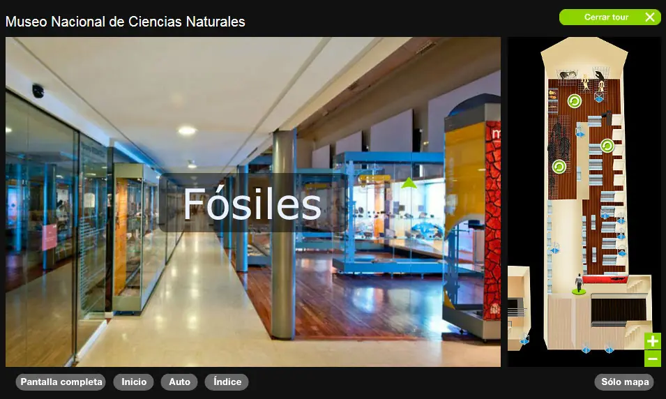 Museos Museos