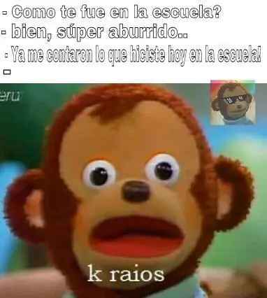 no ahora por favor