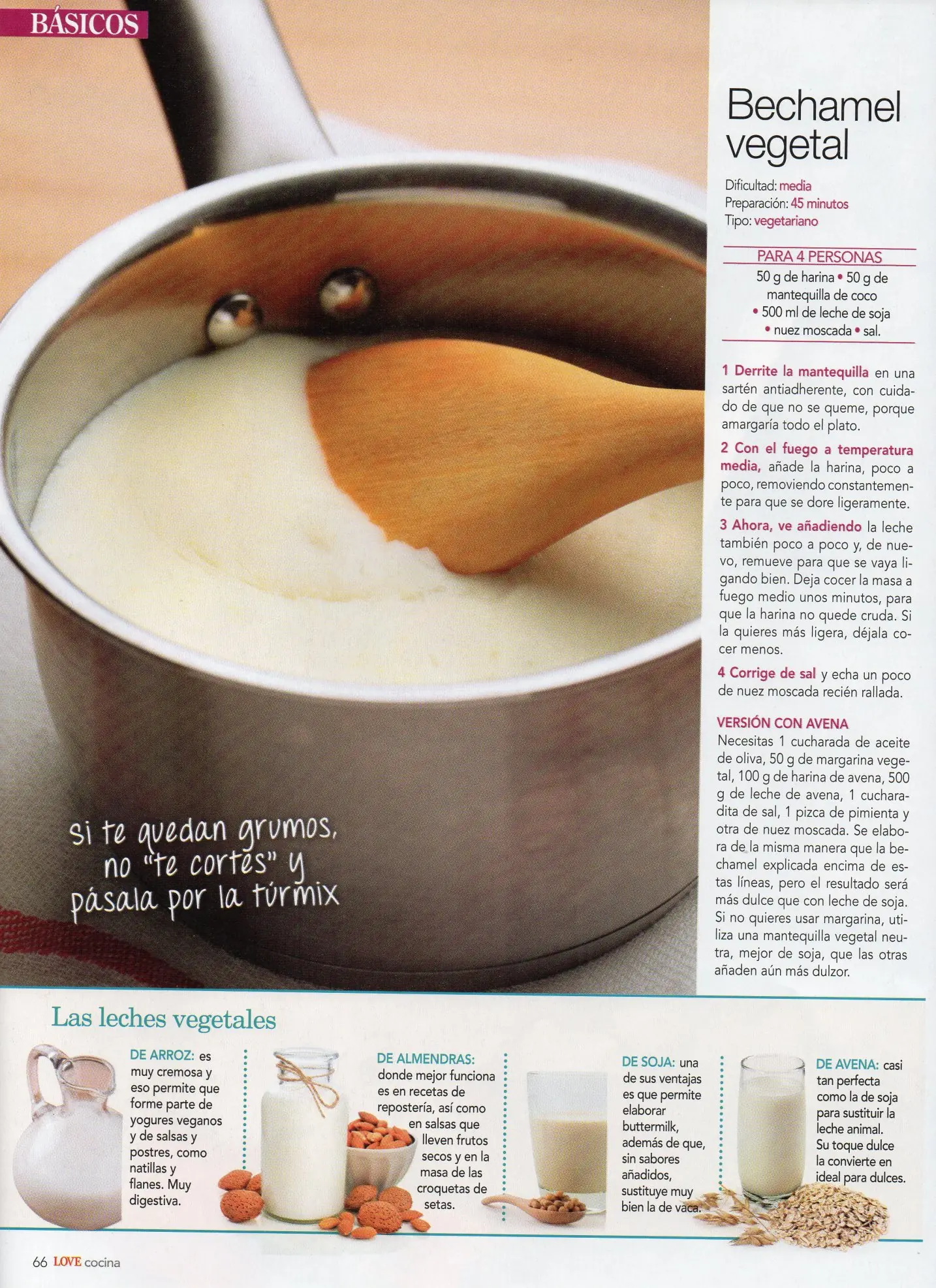 recetas vegetarianas
