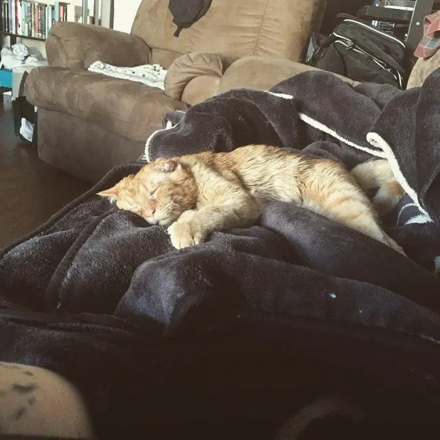 la vida