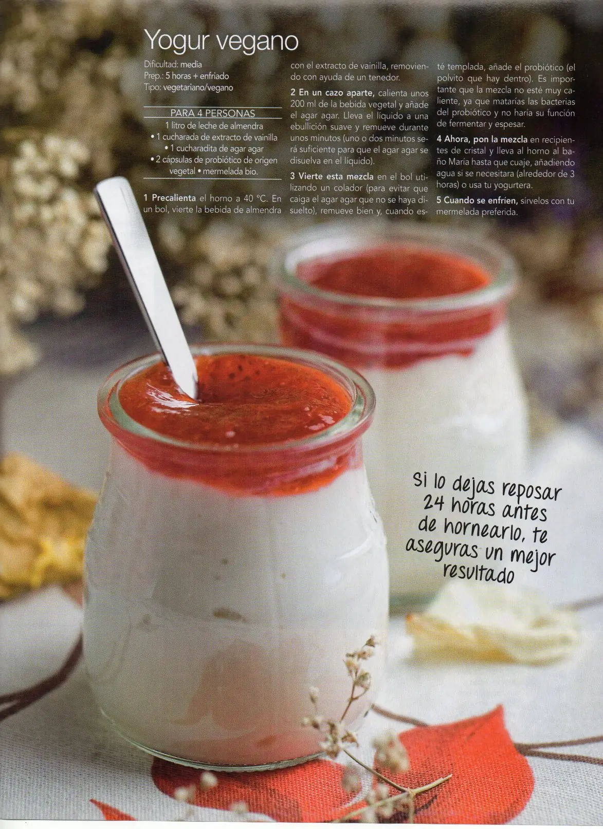 recetas vegetarianas