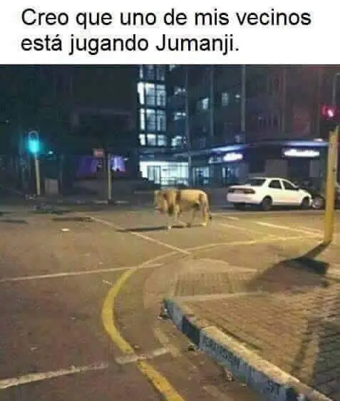 Pero mirate estas imagenes de Humor Papa