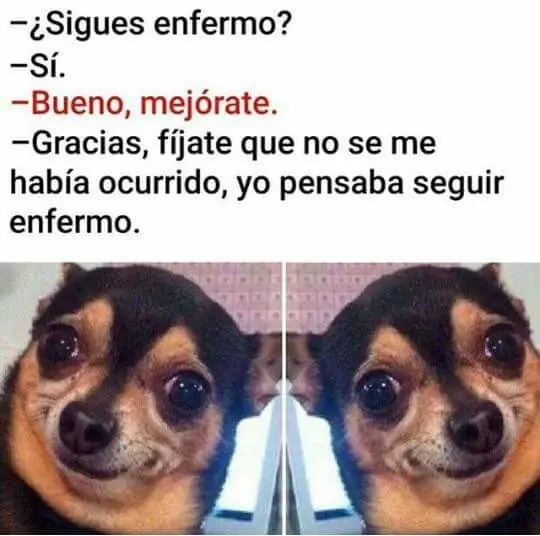 Pero mirate estas imagenes de Humor Papa