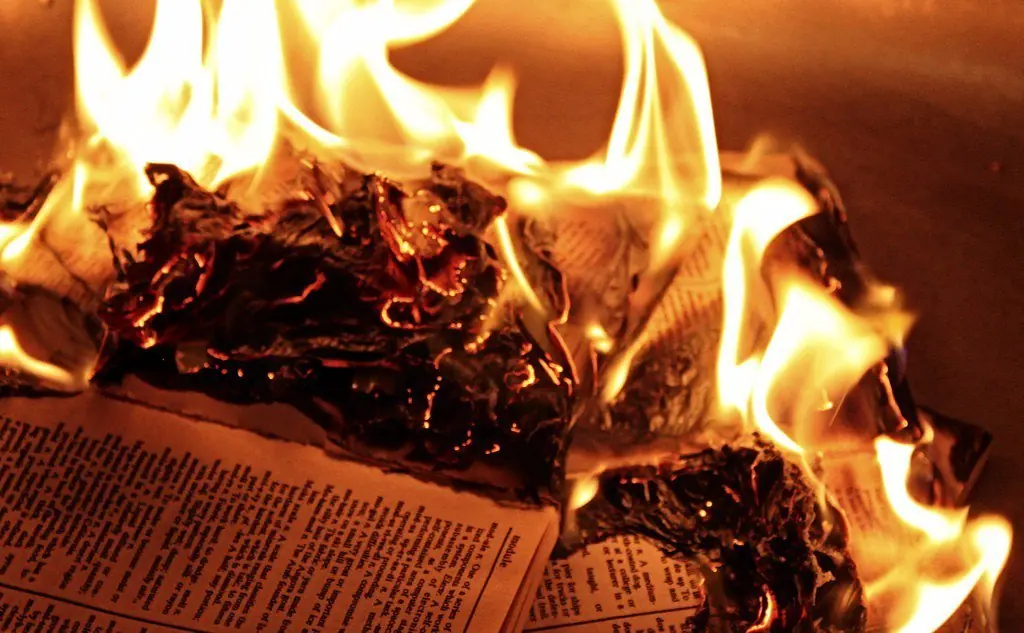 libros libros