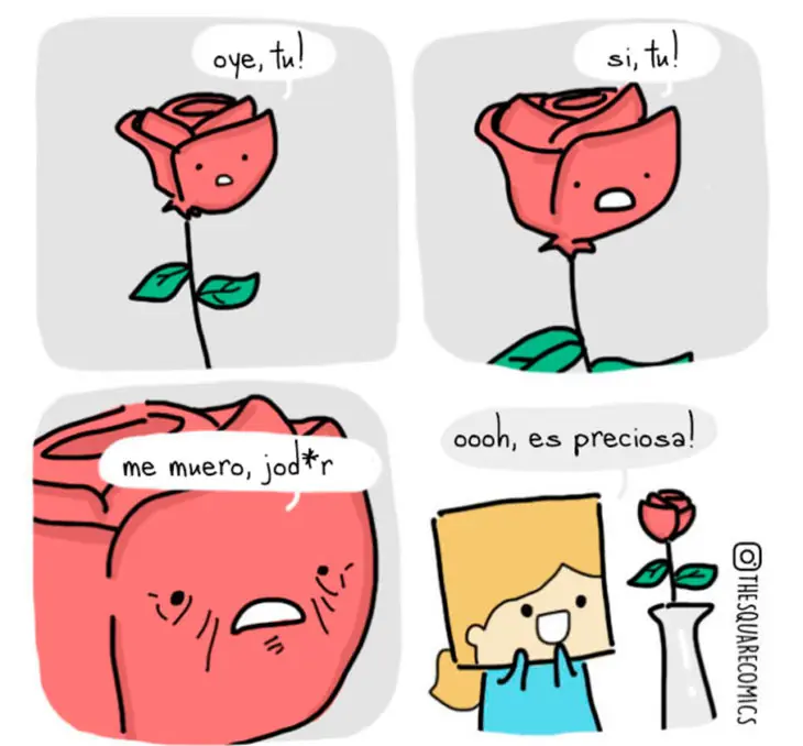 inanimados