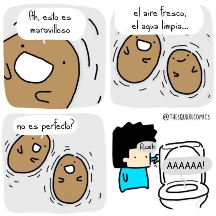 inanimados