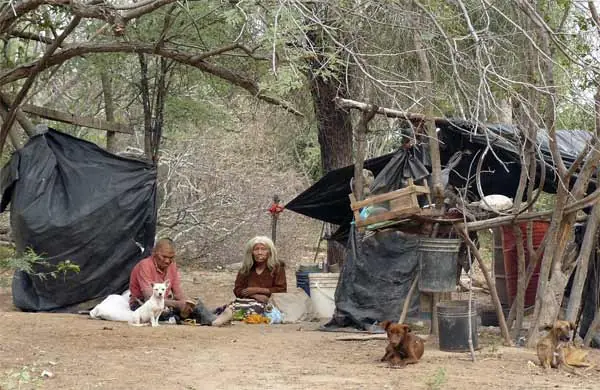 Chaco: la provincia sin desempleo ni indigencia (INDEC)